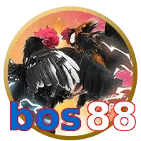 bos88