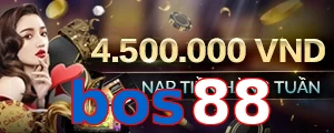 bos88