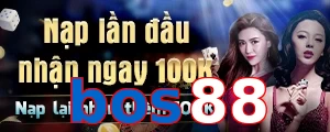 bos88